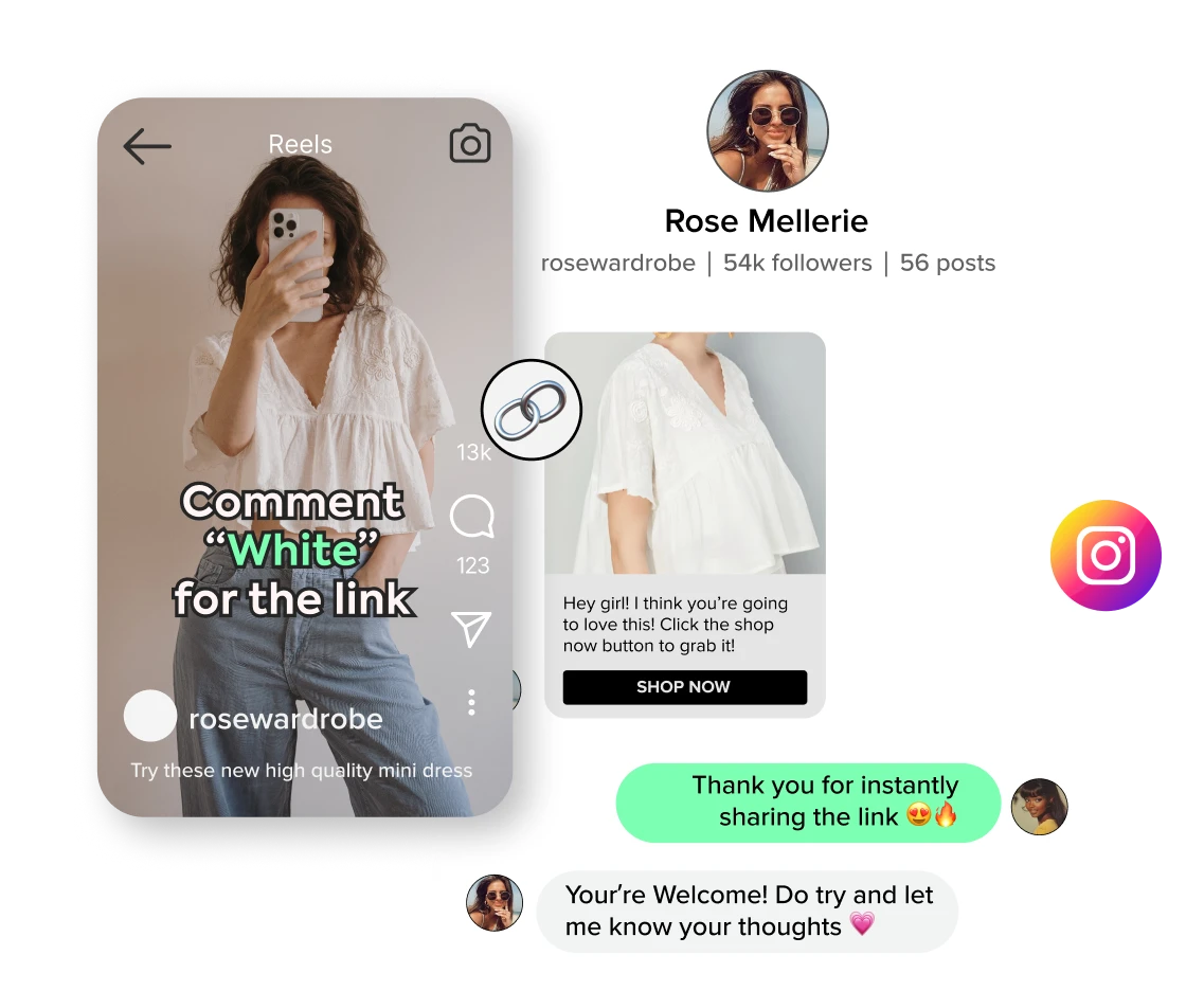 IG Comments & DMs​